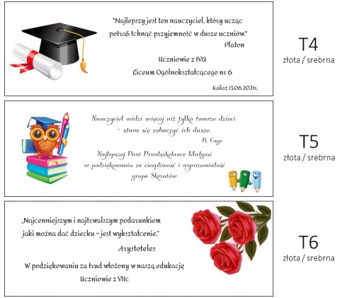 Pióro wieczne i długopis Jotter Stalowy GT etui skóra z tabliczką